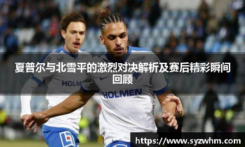 夏普尔与北雪平的激烈对决解析及赛后精彩瞬间回顾